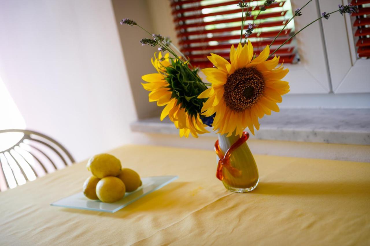 Kornić Apartment Marko מראה חיצוני תמונה